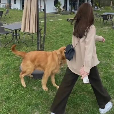 姐姐对我来说是女人